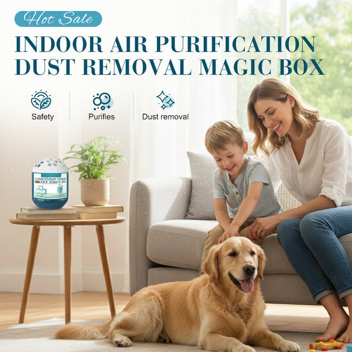 📢📢 –50 % OFF ! ✨ Boîte magique purifie l’air & élimine la poussière -Remifa®