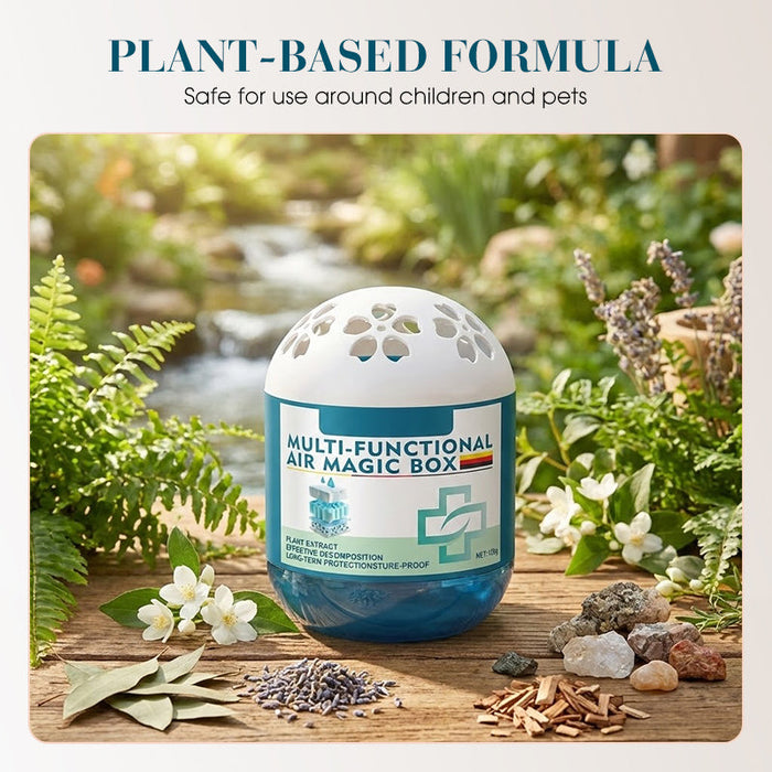 📢📢 –50 % OFF ! ✨ Boîte magique purifie l’air & élimine la poussière -Remifa®