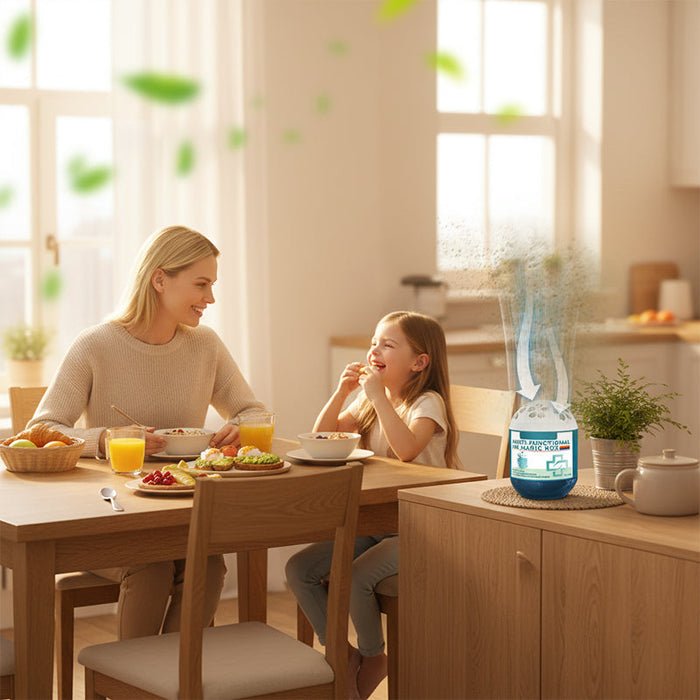 📢📢 –50 % OFF ! ✨ Boîte magique purifie l’air & élimine la poussière -Remifa®