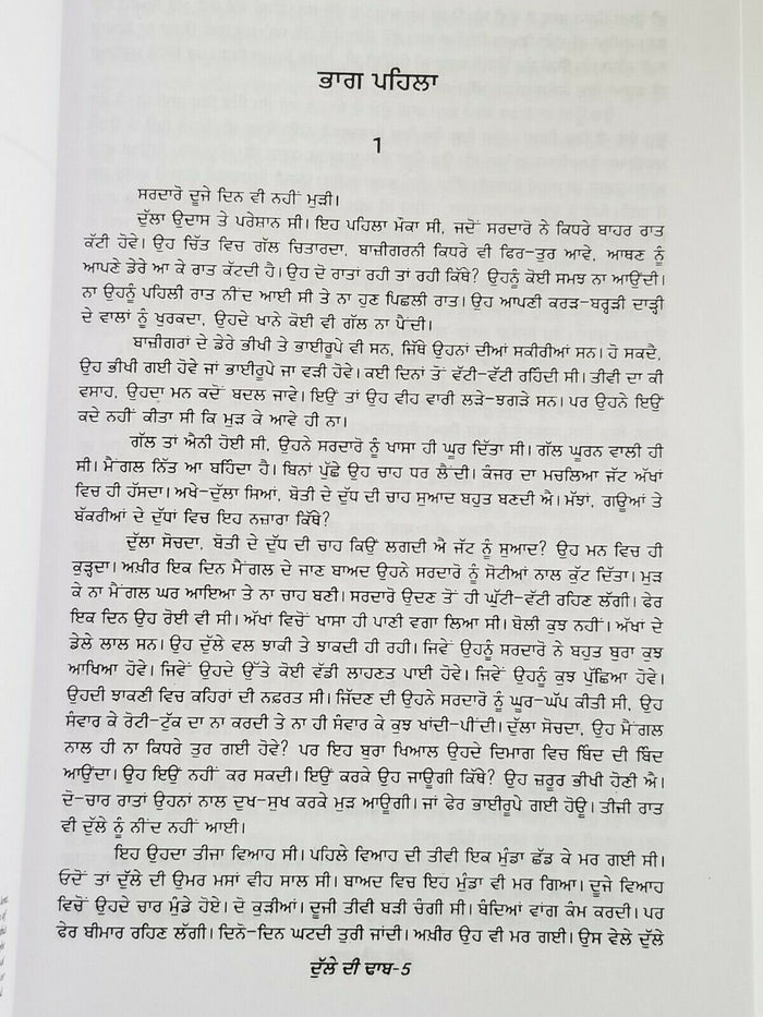 Dulle di dhab novel ram saroop ankhi literature punjabi reading panjabi book mh
