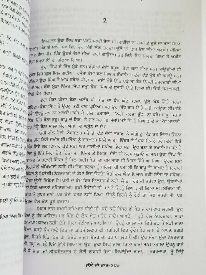 Dulle di dhab novel ram saroop ankhi literature punjabi reading panjabi book mh