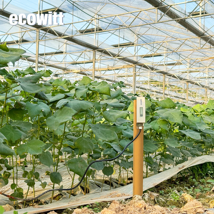Ecowitt WH51L Wireless Soil Moisture Meter with 1M/5M PVC Wire – Soil Sensor with Display, AD Value, and Real-Time Monitoring for Garden, Farm, and Greenhouse