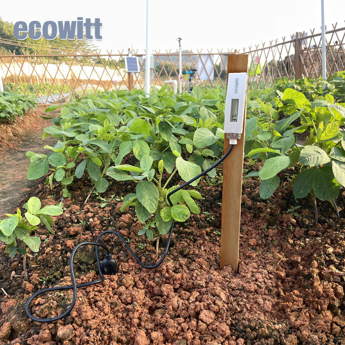 Ecowitt WH51L Wireless Soil Moisture Meter with 1M/5M PVC Wire – Soil Sensor with Display, AD Value, and Real-Time Monitoring for Garden, Farm, and Greenhouse