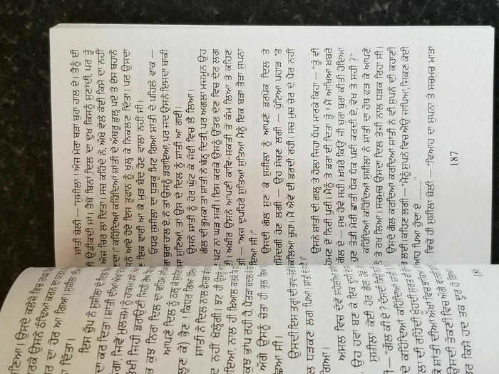 Kagtan di berri novel by nanak singh indian punjabi reading literature book b59
