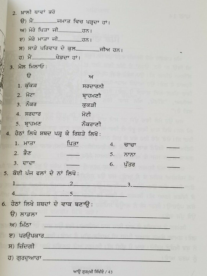 Let's Learn Gurmukhi Writing Punjabi Textbook Sentence Making 3rd Book Kaida H12