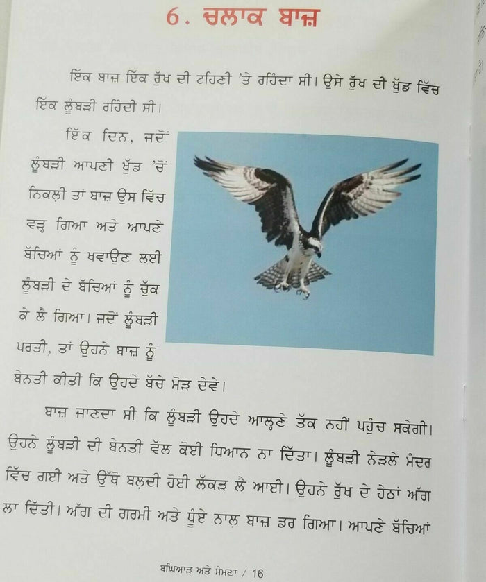 Punjabi Reading Kids Story Moral Book The Wolf and Lamb ਬਘਿਆੜ ਅਤੇ ਮੇਮਣਾ Stories