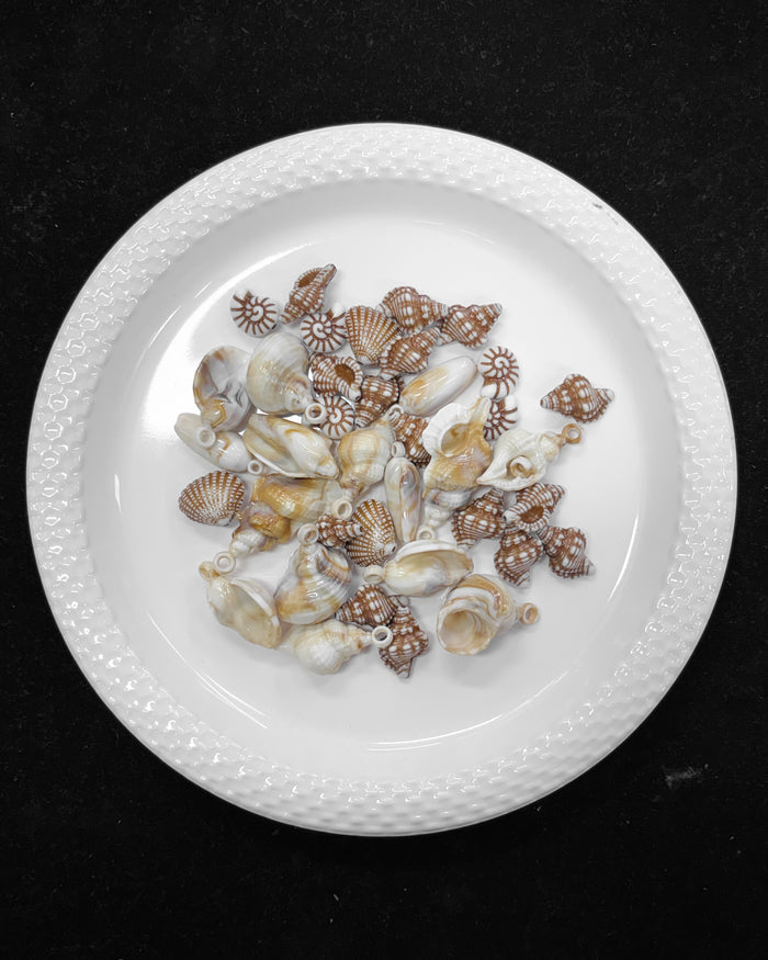 Shell beads - 50 grams