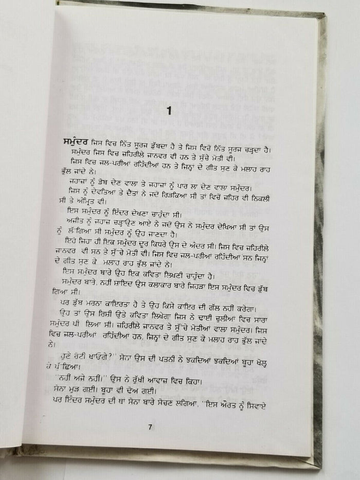 Suraj te samundar punjabi fiction novel by dalip kaur tiwana panjabi book b8 new