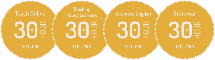 Teach Online Specialist course bundle