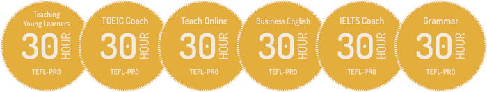 Ultimate TEFL-Pro Bundle