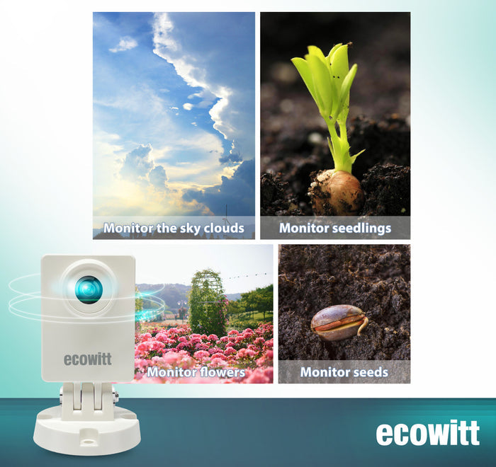 Wittcam - ecowitt (7608995610786)