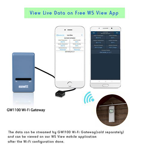 WN32 Outdoor Temperature and Humidity Sensor, Single-Channel Thermo-hygrometer for Outdoor data (Note: Each compatible gateway/console can connect to only one WN32.)